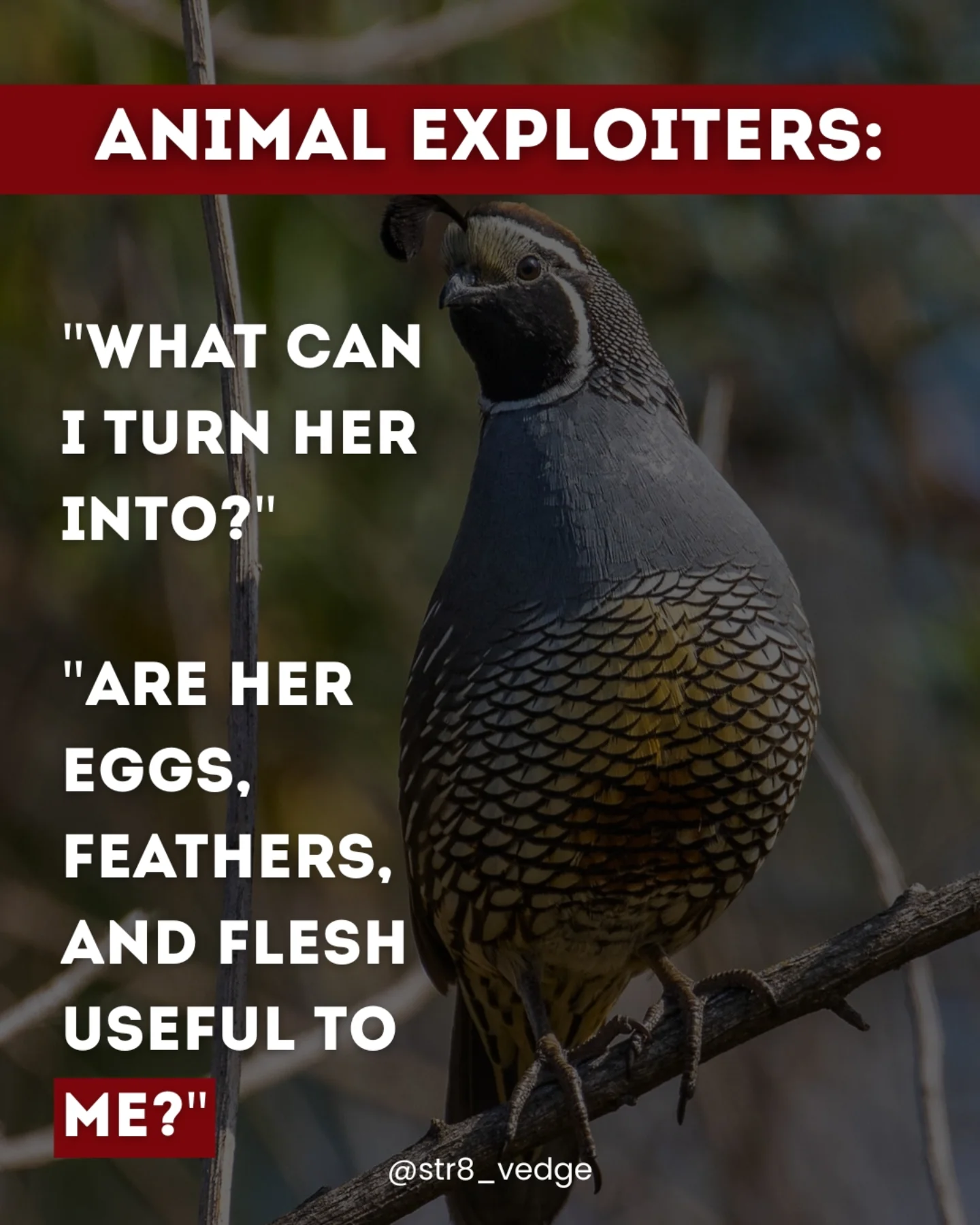 Animal exploiters: